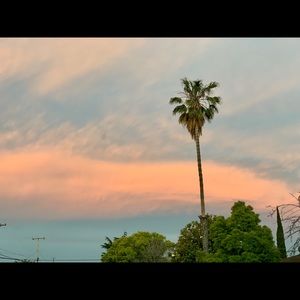 Meet your Posher, Regina